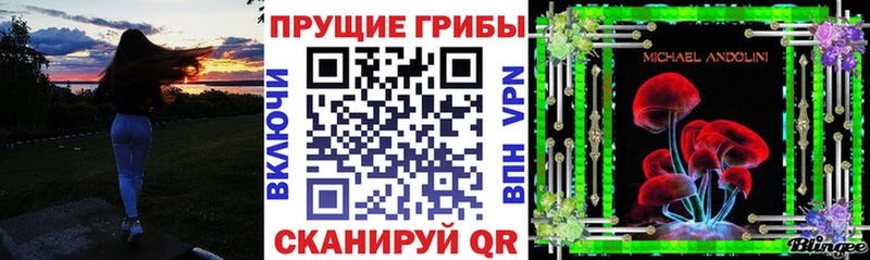KRAKEN онион  Дзержинский  Галлюциногенные грибы Psilocybe  где можно купить  